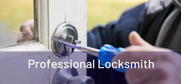  Professional Locksmith 